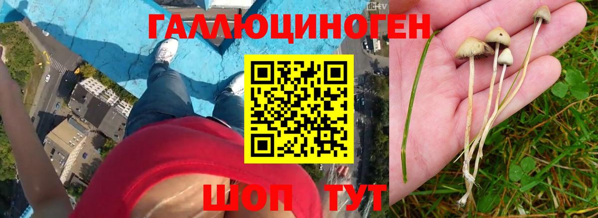 Галлюциногенные грибы Magic Shrooms Новый Уренгой